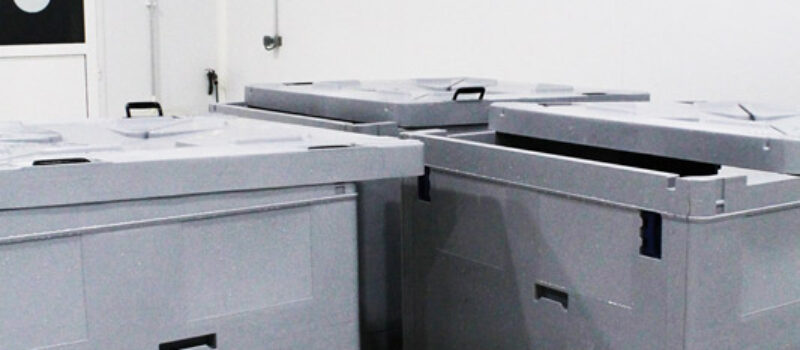 Image module